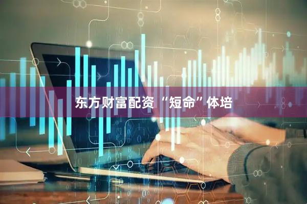 东方财富配资 “短命”体培