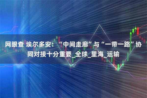 网眼查 埃尔多安：“中间走廊”与“一带一路”协同对接十分重要_全球_里海_运输