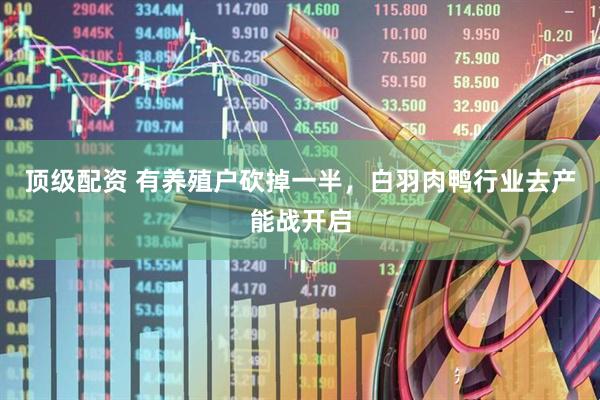 顶级配资 有养殖户砍掉一半，白羽肉鸭行业去产能战开启