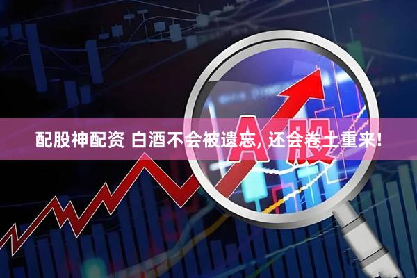 配股神配资 白酒不会被遗忘, 还会卷土重来!