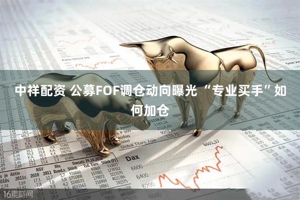 中祥配资 公募FOF调仓动向曝光 “专业买手”如何加仓
