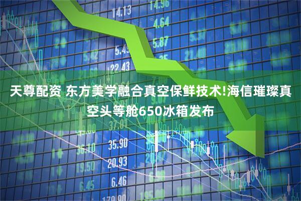 天尊配资 东方美学融合真空保鲜技术!海信璀璨真空头等舱650冰箱发布