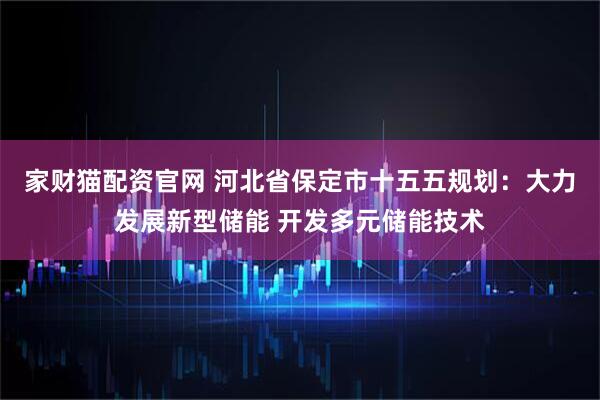 家财猫配资官网 河北省保定市十五五规划:大力发展新型储能 开发多元储能技术